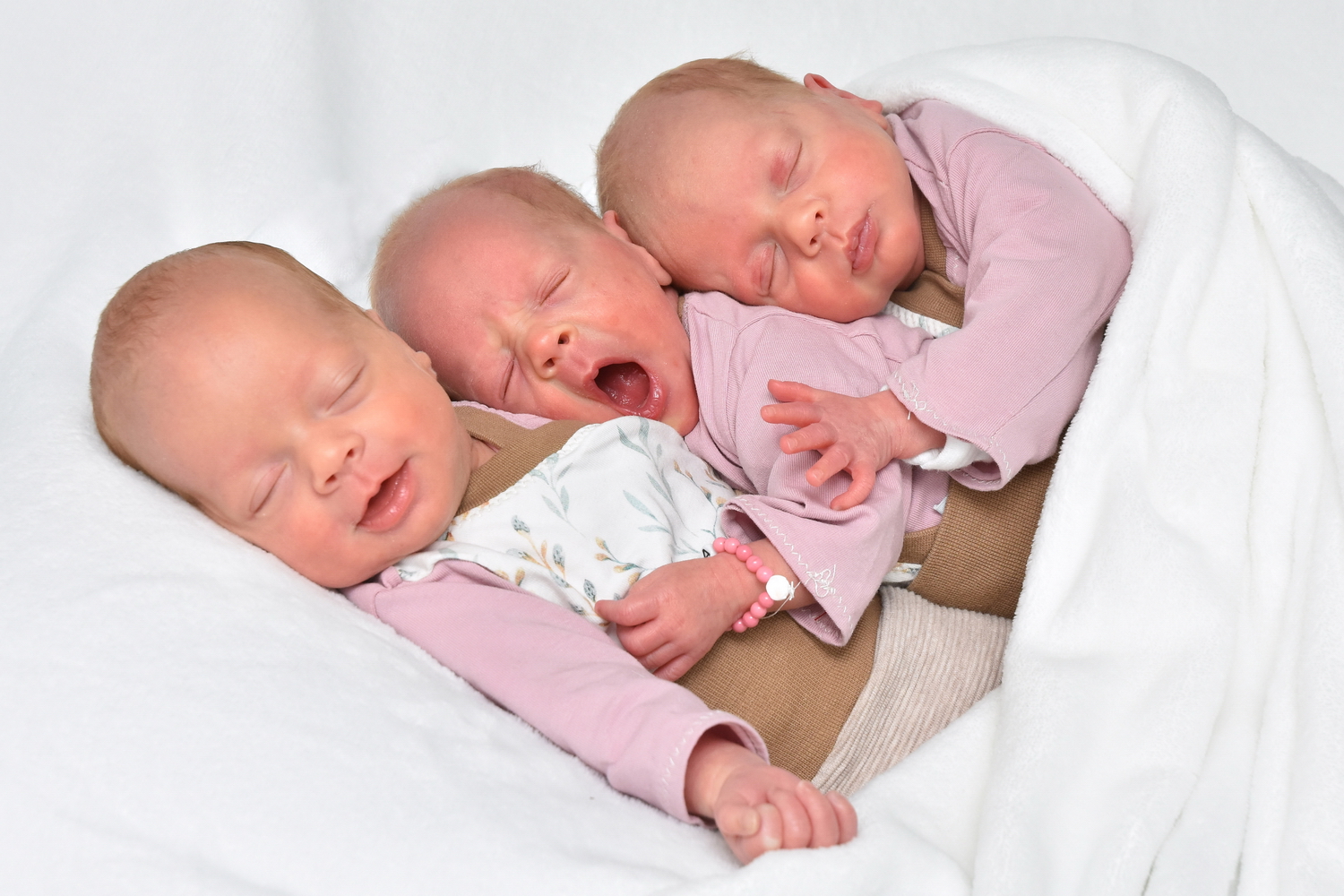 © A. Mirbach): Drei auf einen süßen Streich (v.l.): Bella, Celina und Dana im Alter von fünf Wochen.