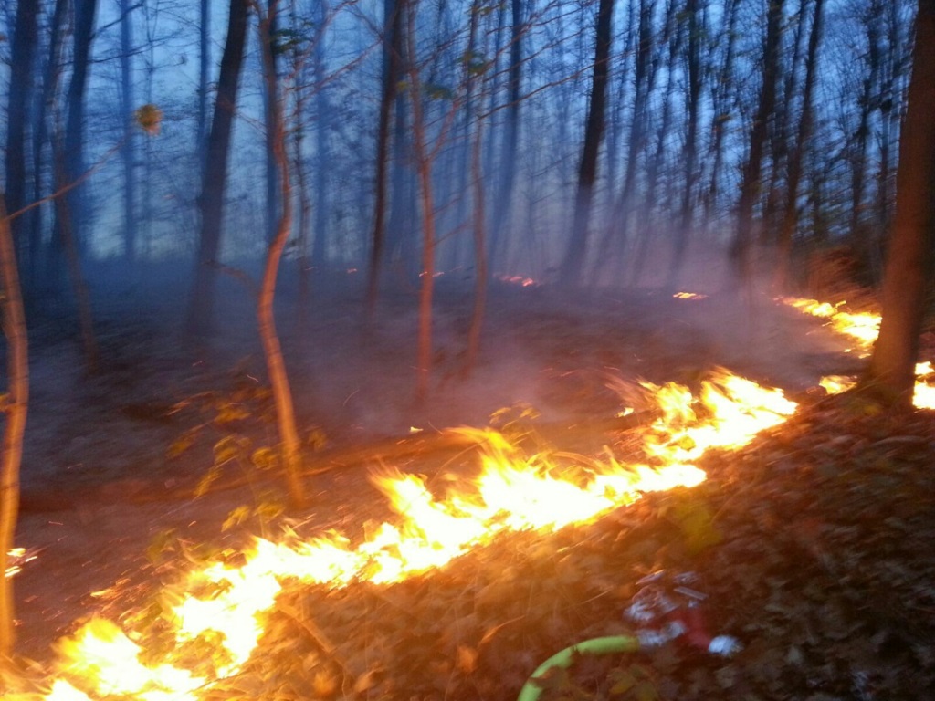 Bild: Feuerwehr Alsdorf