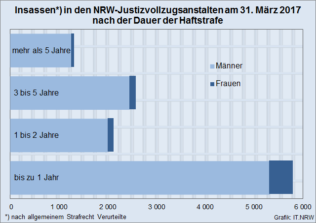 Infografik IT NRW