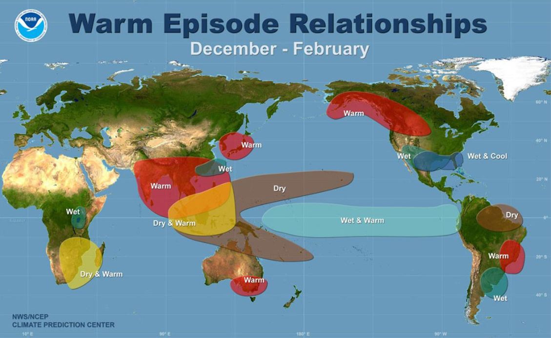 Weltweite Auswirkungen von El Niño auf Niederschlag und Temperatur in den Wintermonaten © Amerikanischer Wetterdienst NCEP