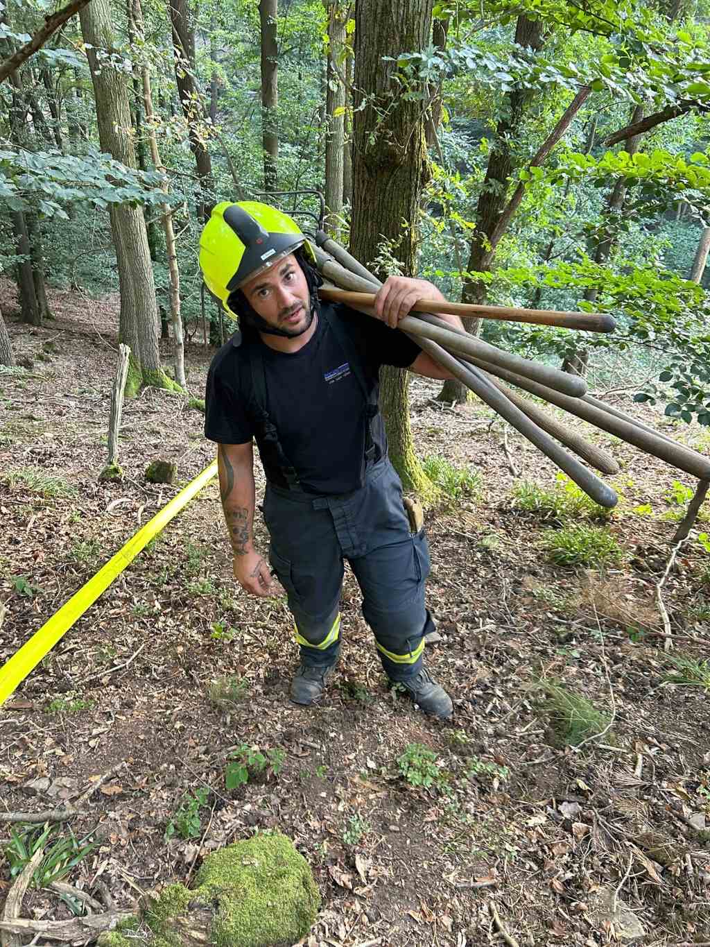Wald1 k