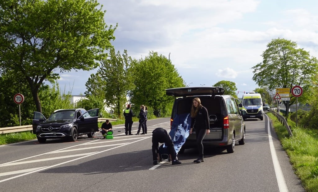 WhatsApp Image 2026 04 19 at 17.52.43 1 k