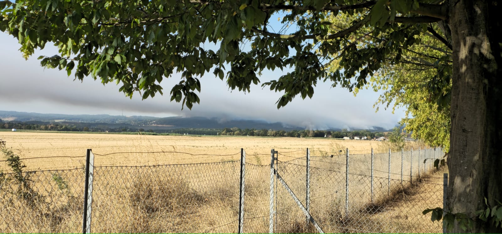 Blick auf den Waldbrand von Gürzenich Richtung Gey: Bild: Privat
