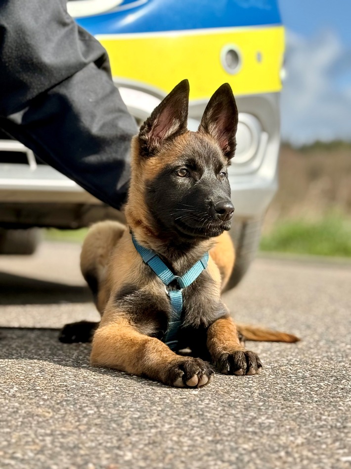 Polizei Euskirchen Polizei Euskirchen